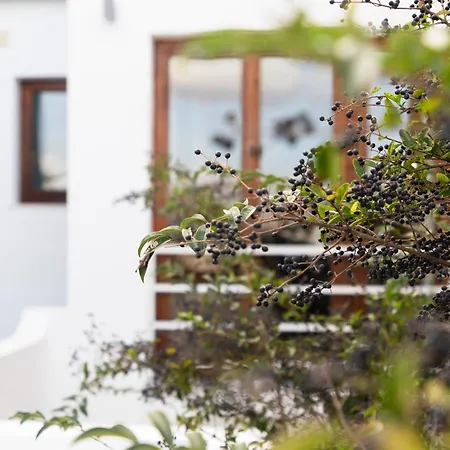 98 And Terrace Lejlighed *