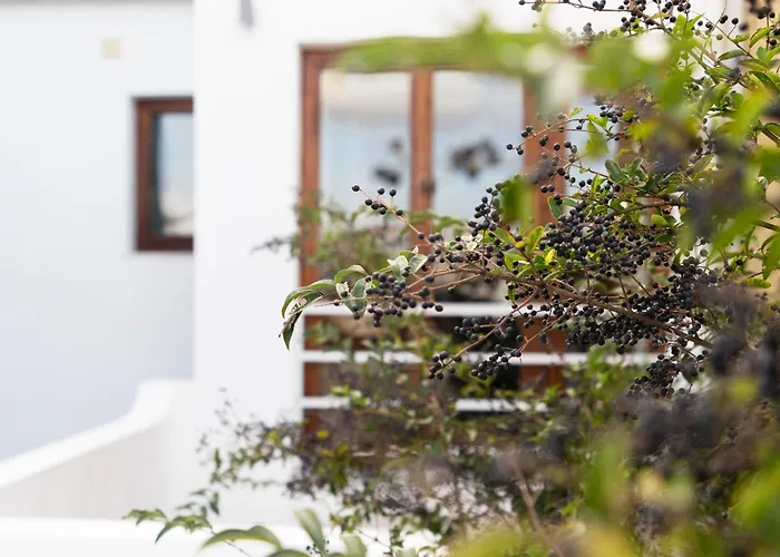 98 And Terrace Lejlighed *